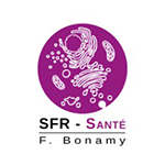 SFR Bonamy