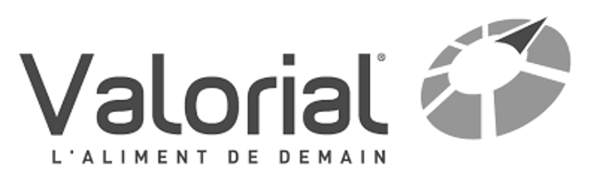 logo valorial