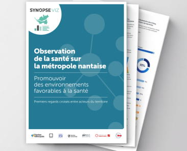 publication-synopseviz