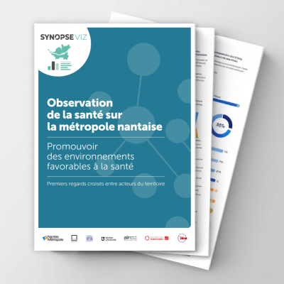publication-synopseviz